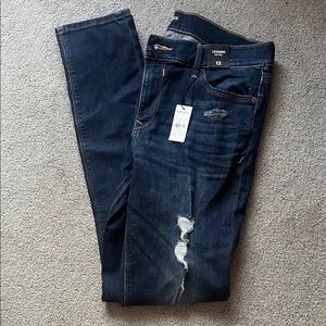 Express Dark Blue Distressed Jeggings